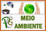 MEIO AMBIENTE